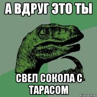 А ВДРУГ ЭТО ТЫ СВЕЛ СОКОЛА С ТАРАСОМ