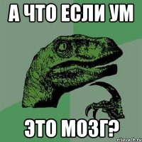 А что если ум Это мозг?