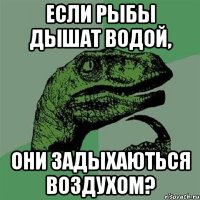 Если рыбы дышат водой, они задыхаються воздухом?