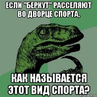 Если "Беркут" расселяют во Дворце спорта, как называется этот вид спорта?