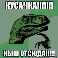 КУСАЧКА!!!!!!! КЫШ ОТСЮДА!!!!!