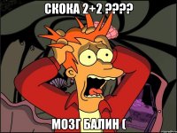 скока 2+2 ???? мозг балин (