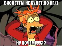 Виолетты не будет до НГ.(( Ну почемууу??