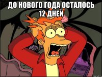 ДО НОВОГО ГОДА ОСТАЛОСЬ 12 ДНЕЙ 