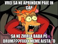 Vrei sa ne aprindem paie in cap sa ne zvirla baba pe drum???Fixxx meme aista:"D