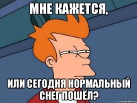 мне кажется, или сегодня нормальный снег пошёл?