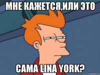 мне кажется,или это сама Lina York?