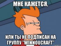 МНЕ КАЖЕТСЯ, ИЛИ ТЫ НЕ ПОДПИСАН НА ГРУППУ "Winnoucraft"