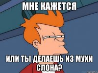 мне кажется или ты делаешь из мухи слона?