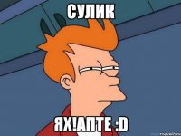 Сулик ях!апте :D