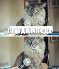 Сегодня среда