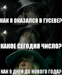 Как я оказался в Гусеве? какое сегодня число? как 9 дней до Нового Года?