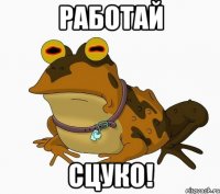 Работай сцуко!