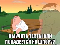  Выучить тесты или понадеется на шпору?