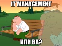 IT MANagement или BA?