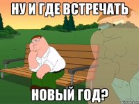 НУ И ГДЕ ВСТРЕЧАТЬ НОВЫЙ ГОД?