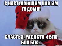 С наступающим Новым годом!!! Счастья, радости и бла бла бла...