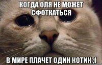 Когда Оля не может сфоткаться В мире плачет один котик ;(