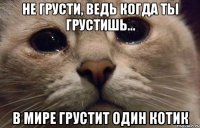 Не грусти, ведь когда ты грустишь... в мире грустит один котик