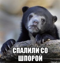  СПАЛИЛИ СО ШПОРОЙ