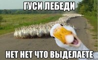 гуси лебеди нет нет что выделаете