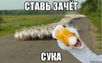 ставь зачёт сука