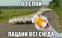 о Тєлки пацани всі сюда