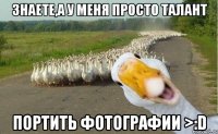 Знаете,а у меня просто талант Портить фотографии >:D