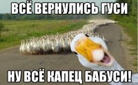 Всё вернулись гуси ну всё капец бабуси!