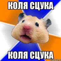 КОЛЯ СЦУКА КОЛЯ СЦУКА