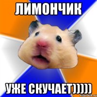 Лимончик уже скучает)))))