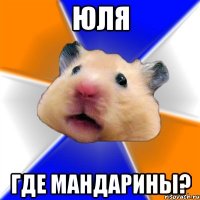 Юля где мандарины?