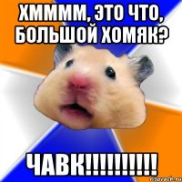 Хмммм, это что, большой хомяк? ЧАВК!!!!!!!!!!