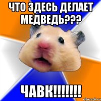 Что здесь делает медведь??? ЧАВК!!!!!!!