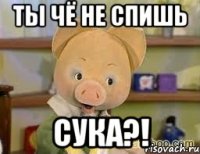 ты чё не спишь сука?!