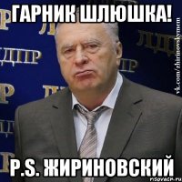 ГАРНИК ШЛЮШКА! P.S. Жириновский