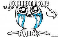 До нового года 17 дней:3