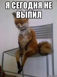 Я сегодня не выпил 