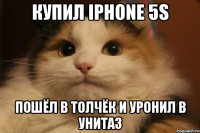 купил iPhone 5s Пошёл в толчёк и уронил в унитаз