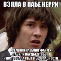 Взяла в пабе керри Оставили на лайне фарм и ставили варды, чтобы я чувствовала себя в безопасности