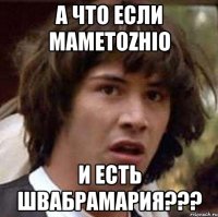 А что если MameTozhio и есть Швабрамария???