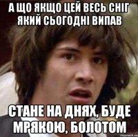 А що якщо цей весь сніг який сьогодні випав стане на днях, буде мрякою, болотом