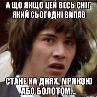 А що якщо цей весь сніг який сьогодні випав стане на днях, мрякою або болотом...