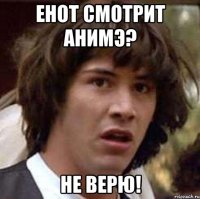 енот смотрит анимэ? не верю!