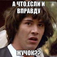 А что,если и вправду Жучок??