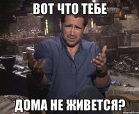 ВОТ ЧТО ТЕБЕ ДОМА НЕ ЖИВЕТСЯ?