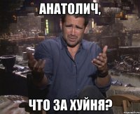 Анатолич, что за хуйня?