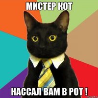 Мистер кот нассал вам в рот !