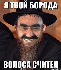 я твой борода волоса счител