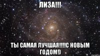 Лиза!!! Ты самая лучшая!!!!С новым Годом!)